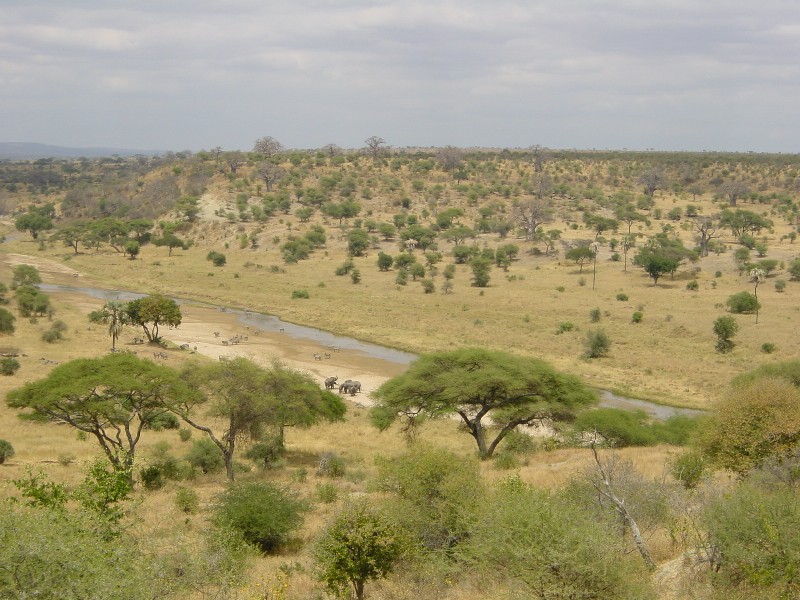 The Sajaji "Ultimate Frontier"