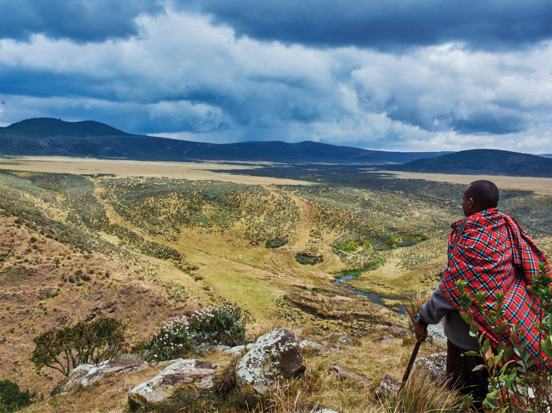 Western Circuit Safari: The Roots of Humanity