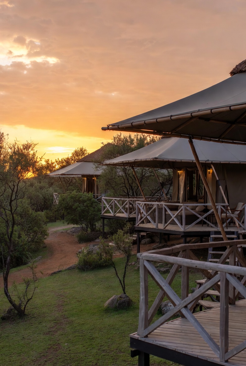 4de03f35 1446 4ebc ae47 ac5473f2b96b 1